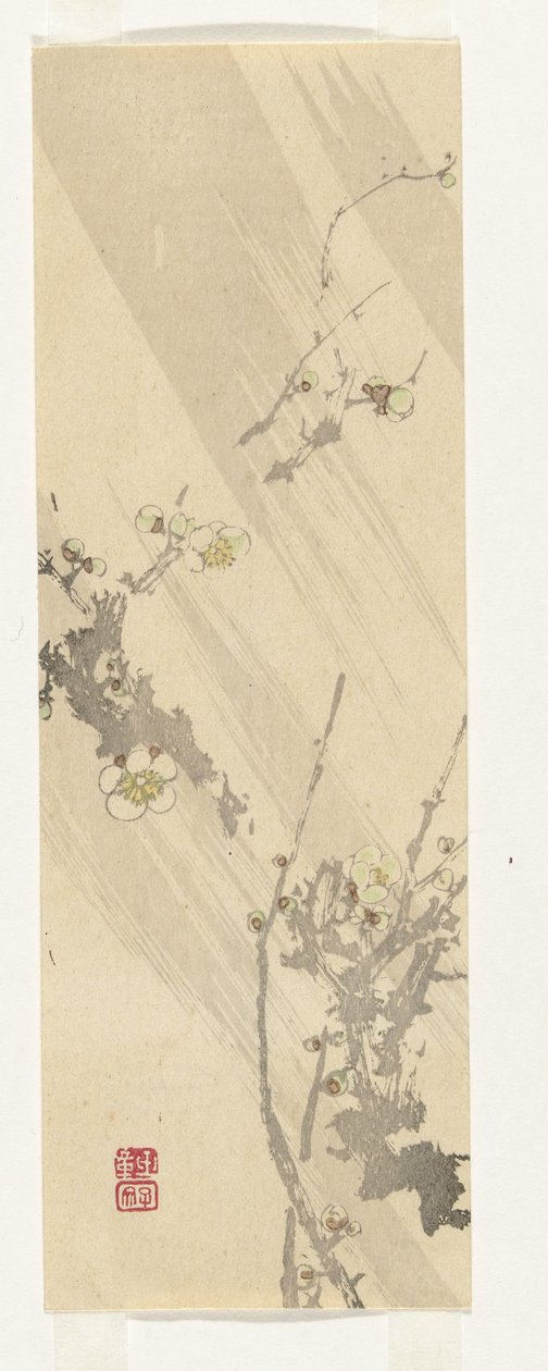 Fleur de prunier - Anonymous