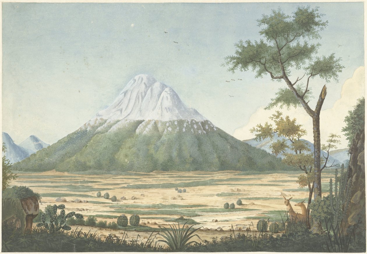 Paysage tropical avec montagnes - Anonymous