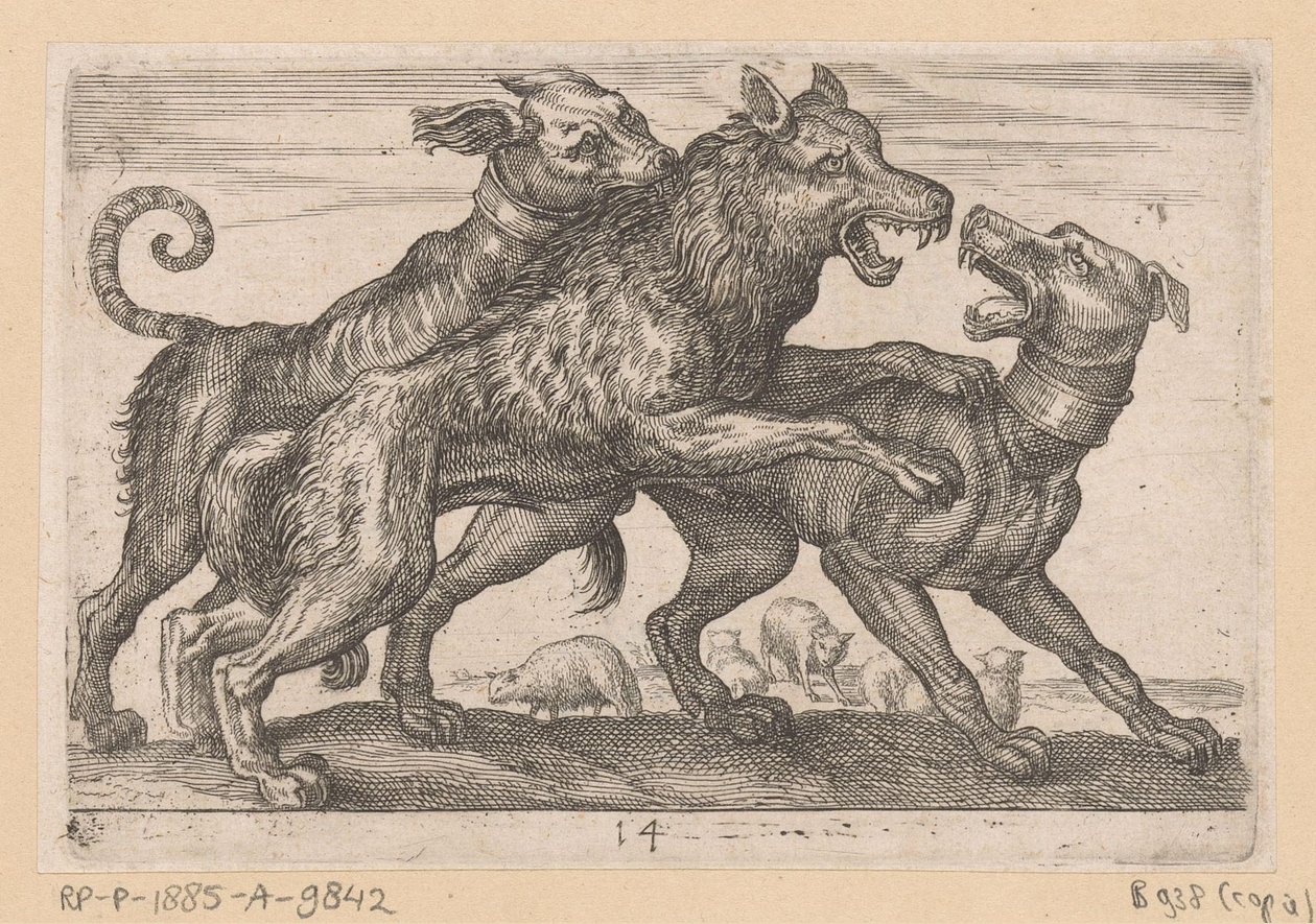 Deux chiens en combat avec un loup - Anonymous