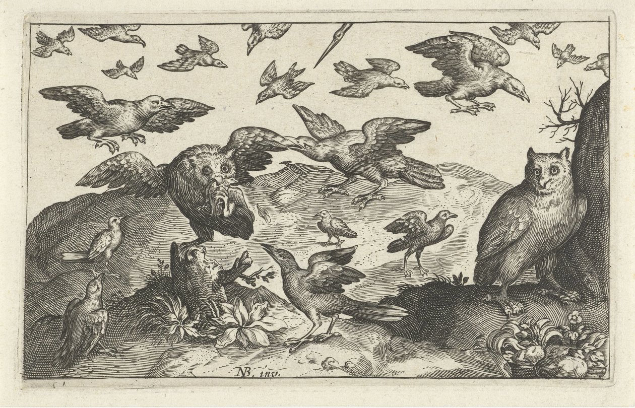 Hibou avec proie attaqué par d