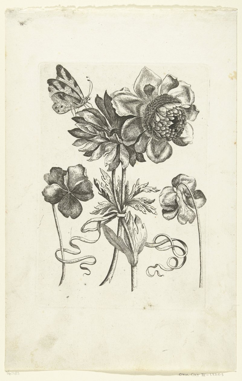 Quatre fleurs, dont deux violettes - Anonymous