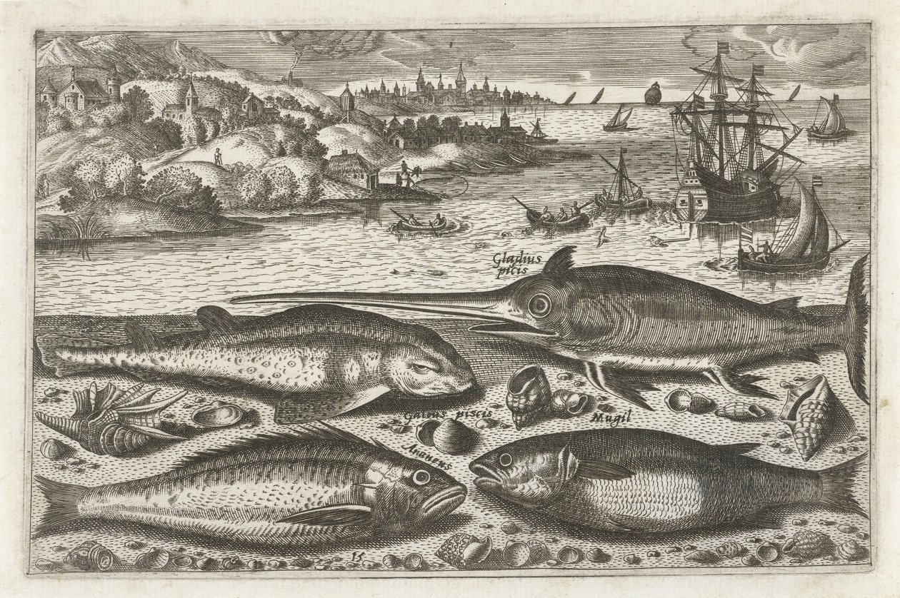 Quatre poissons sur la plage (série de poissons) - Anonymous