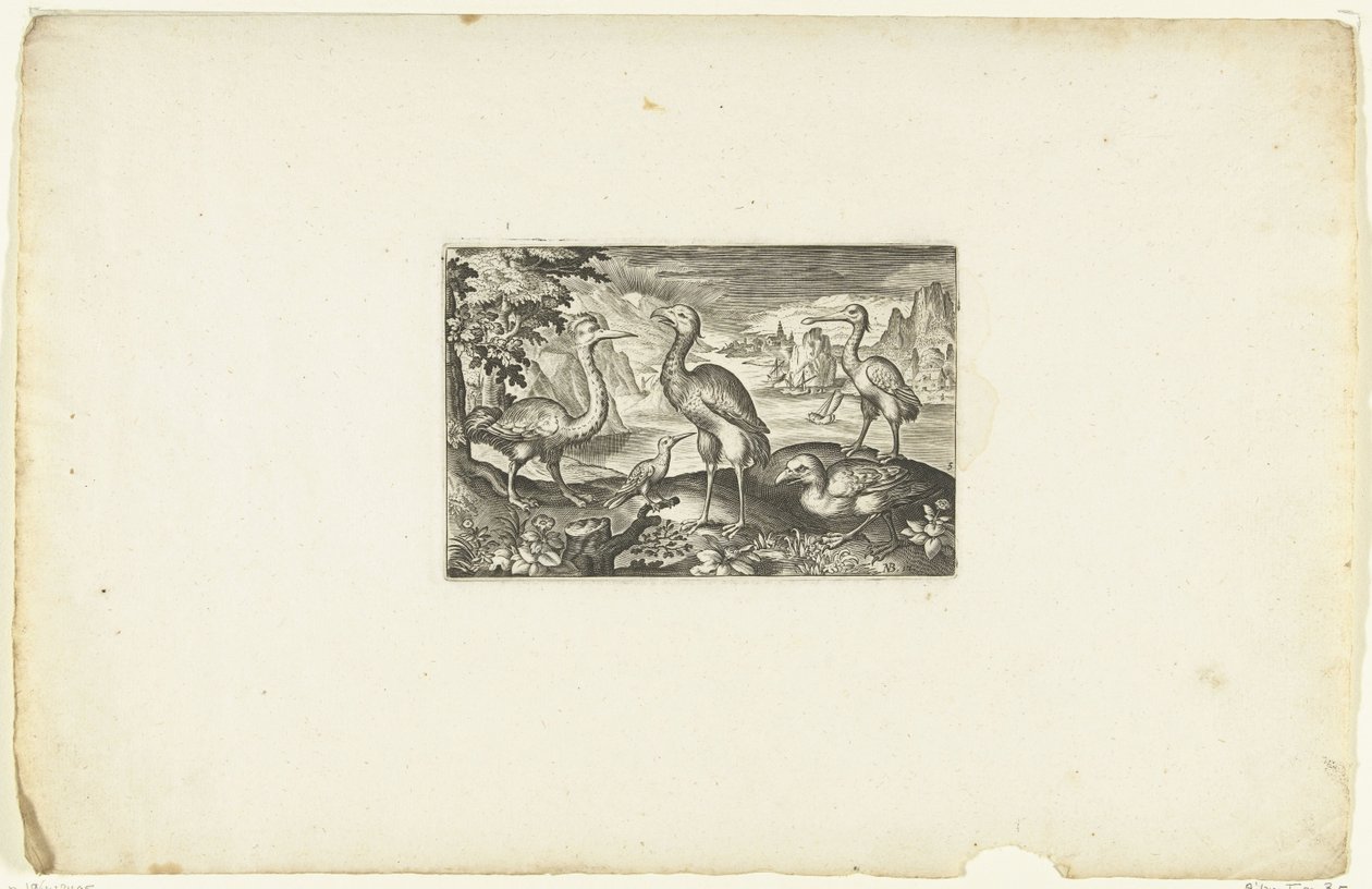 Cinq oiseaux - Anonymous