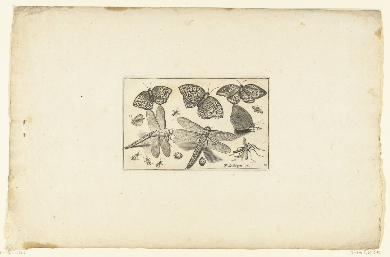Papillons et libellules - Anonymous