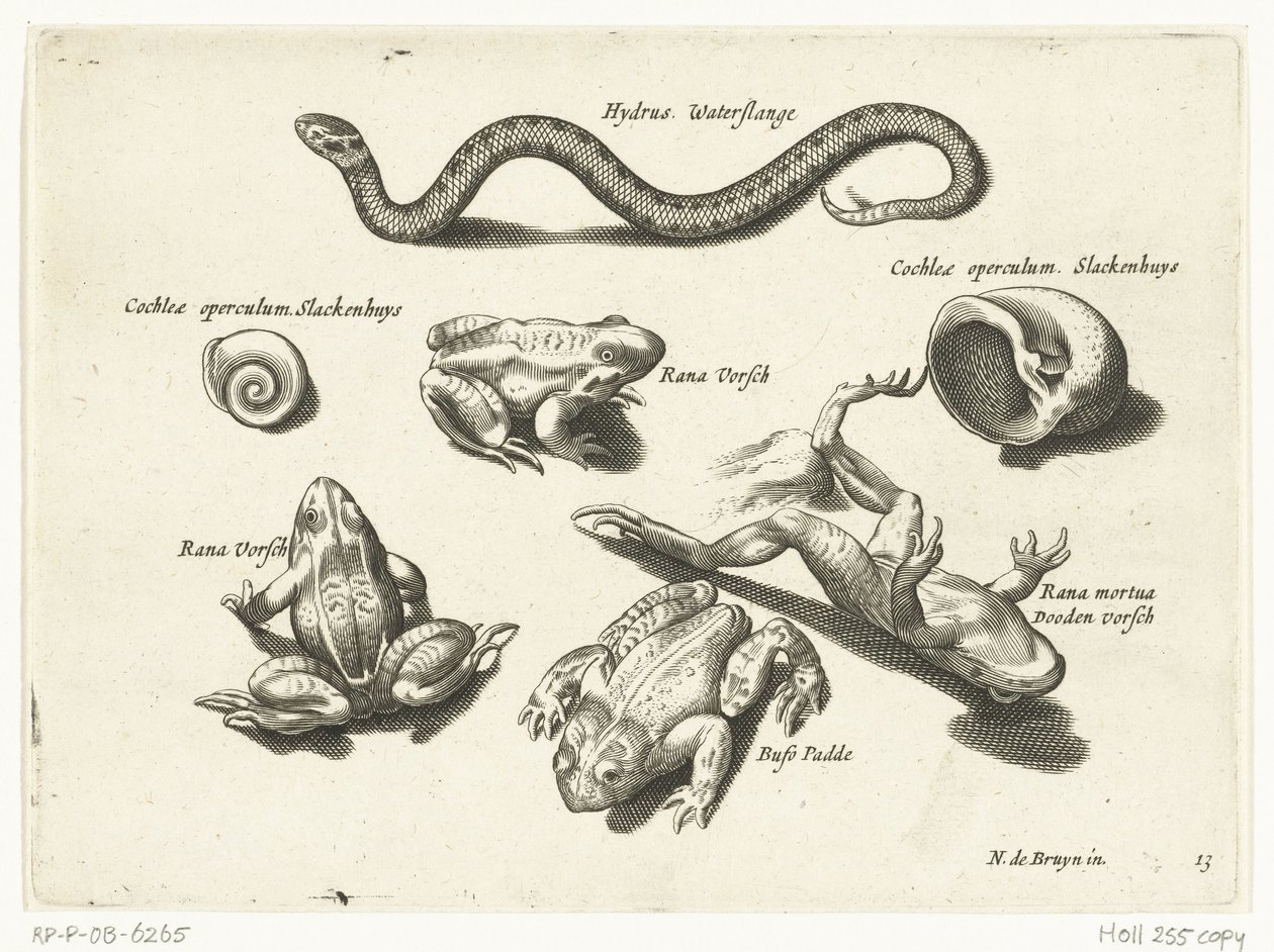 Serpent d