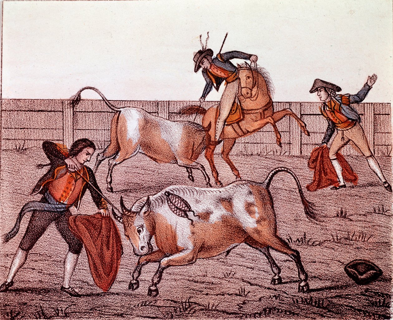 Scène de chasse aux taureaux (tauromachie) XVIIIe siècle - Anonymous Anonymous
