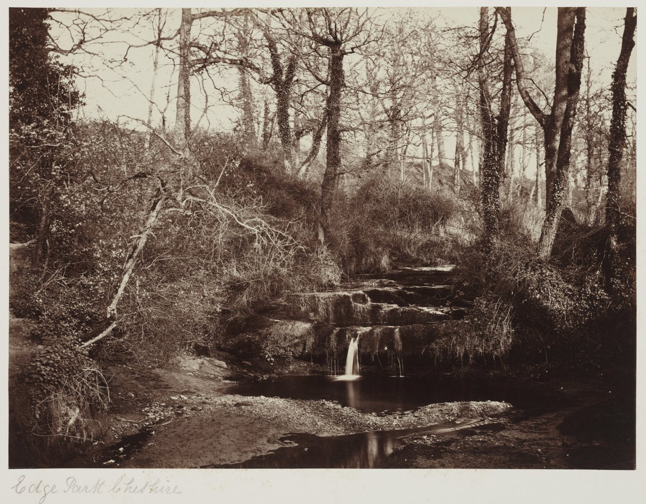 Edge Park, Cheshire, c.1865 - Anonymous Anonymous