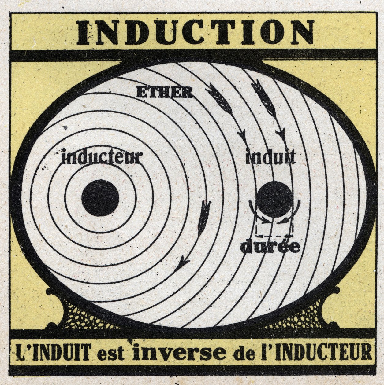 Phénomènes électriques : induction. L