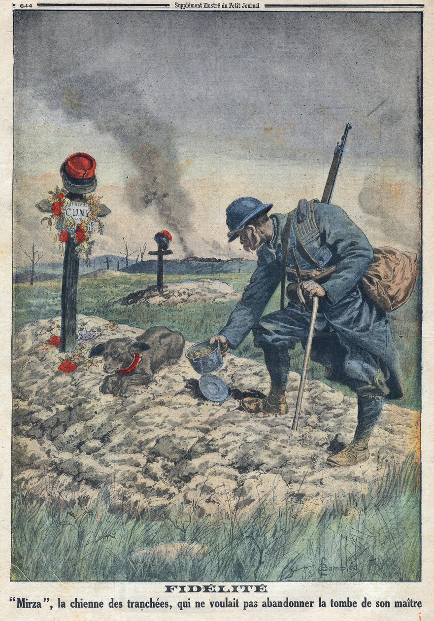 Première Guerre mondiale 1914-1918. Un chien refusant d