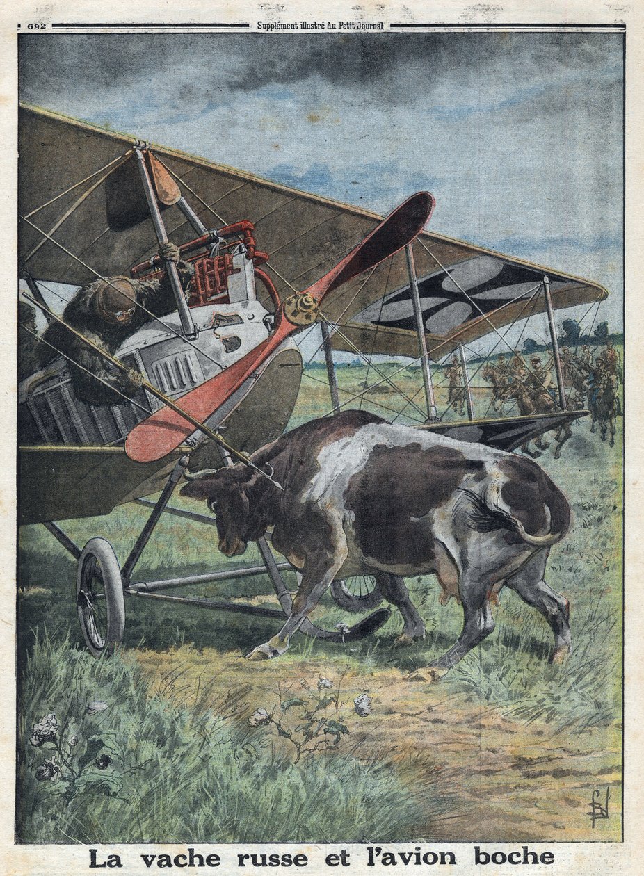 Première Guerre mondiale 1914-1918. Une vache en Russie empêche un avion de l