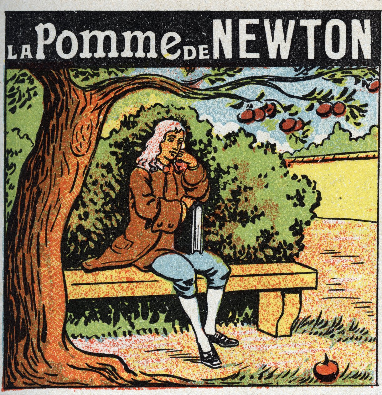 Gravitation : la pomme de Newton. Isaac Newton (1642-1727) observe une pomme tomber d