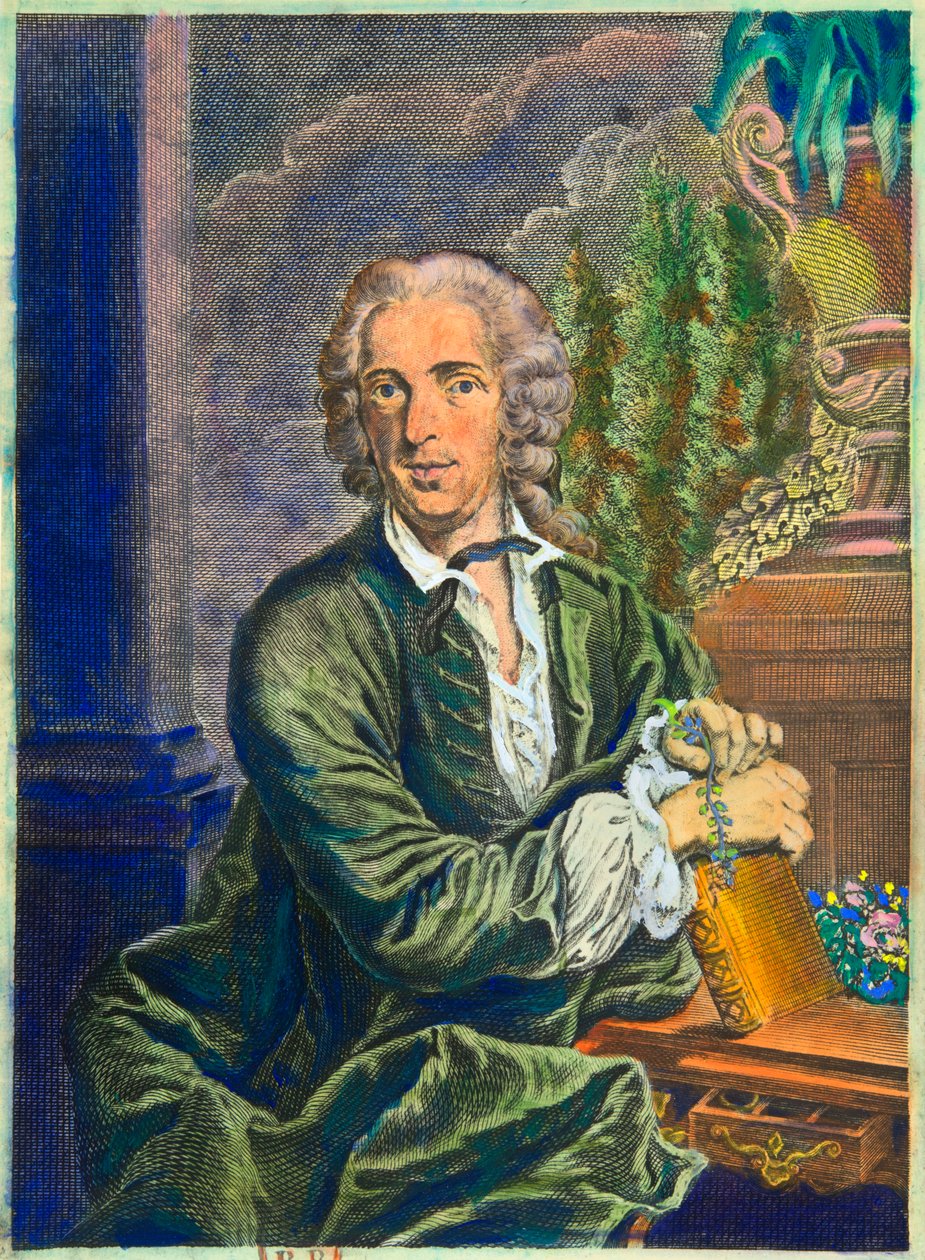Portrait de Carl Von Linné (1707-1778) naturaliste suédois (collection privée) - Anonymous Anonymous