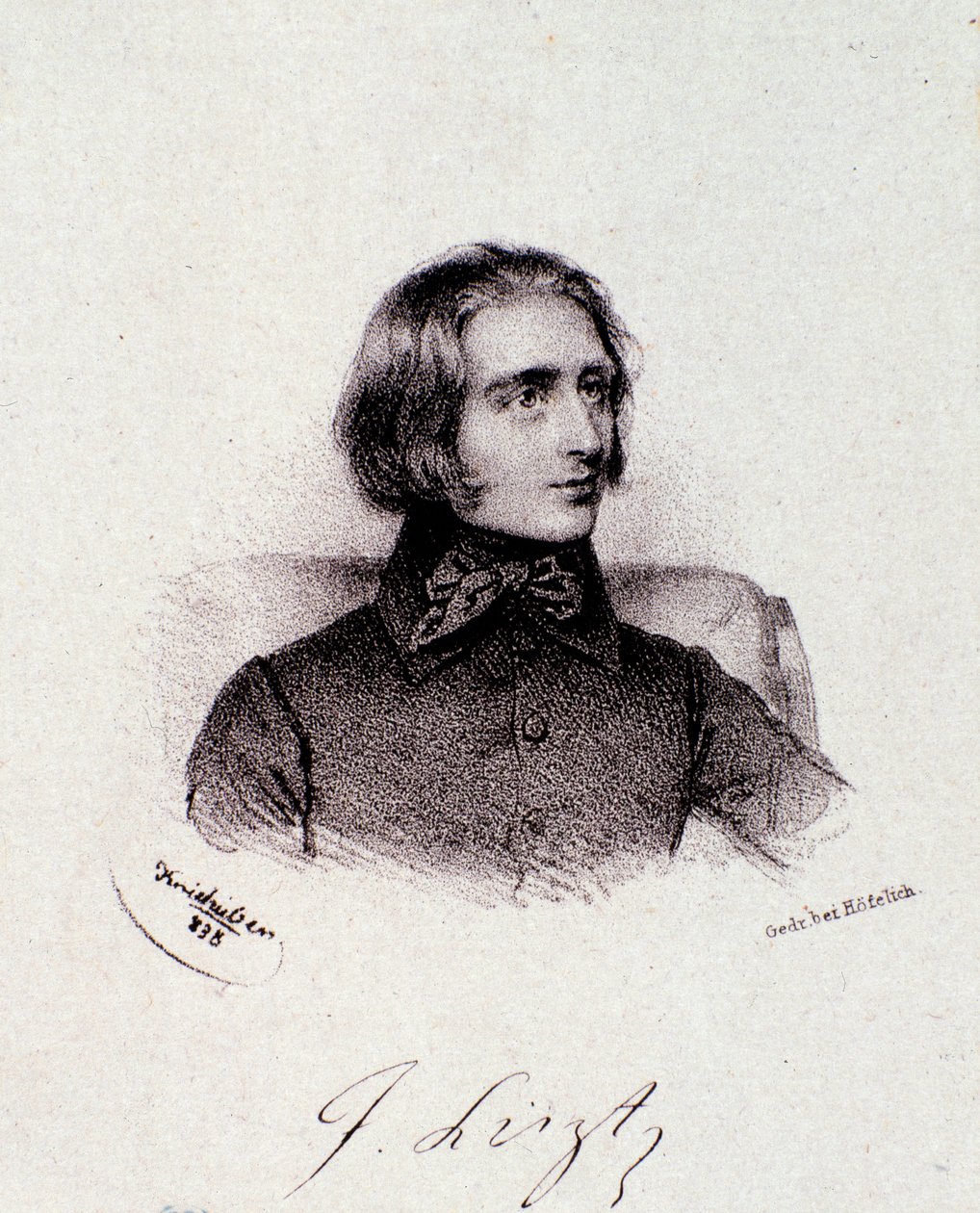 Portrait du compositeur hongrois Franz Liszt (1811-1886) (gravure, 19e siècle, collection privée milanaise) - Anonymous Anonymous