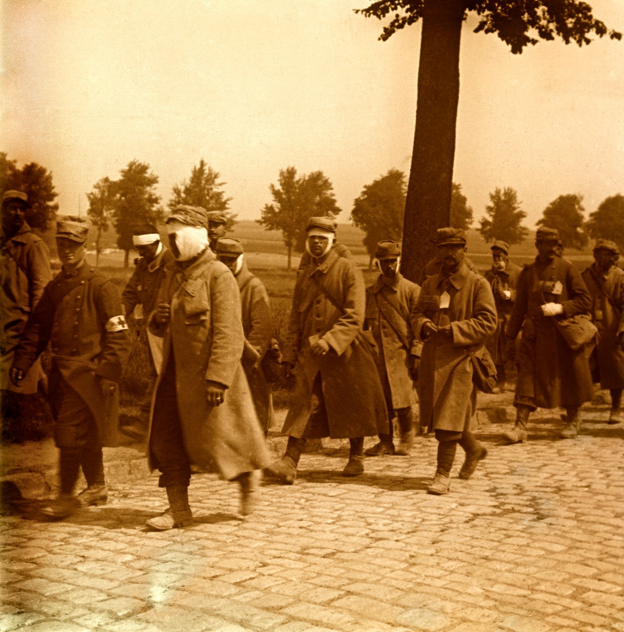 Plaque de verre stéréoscopique sur la Première Guerre mondiale - Anonymous Anonymous