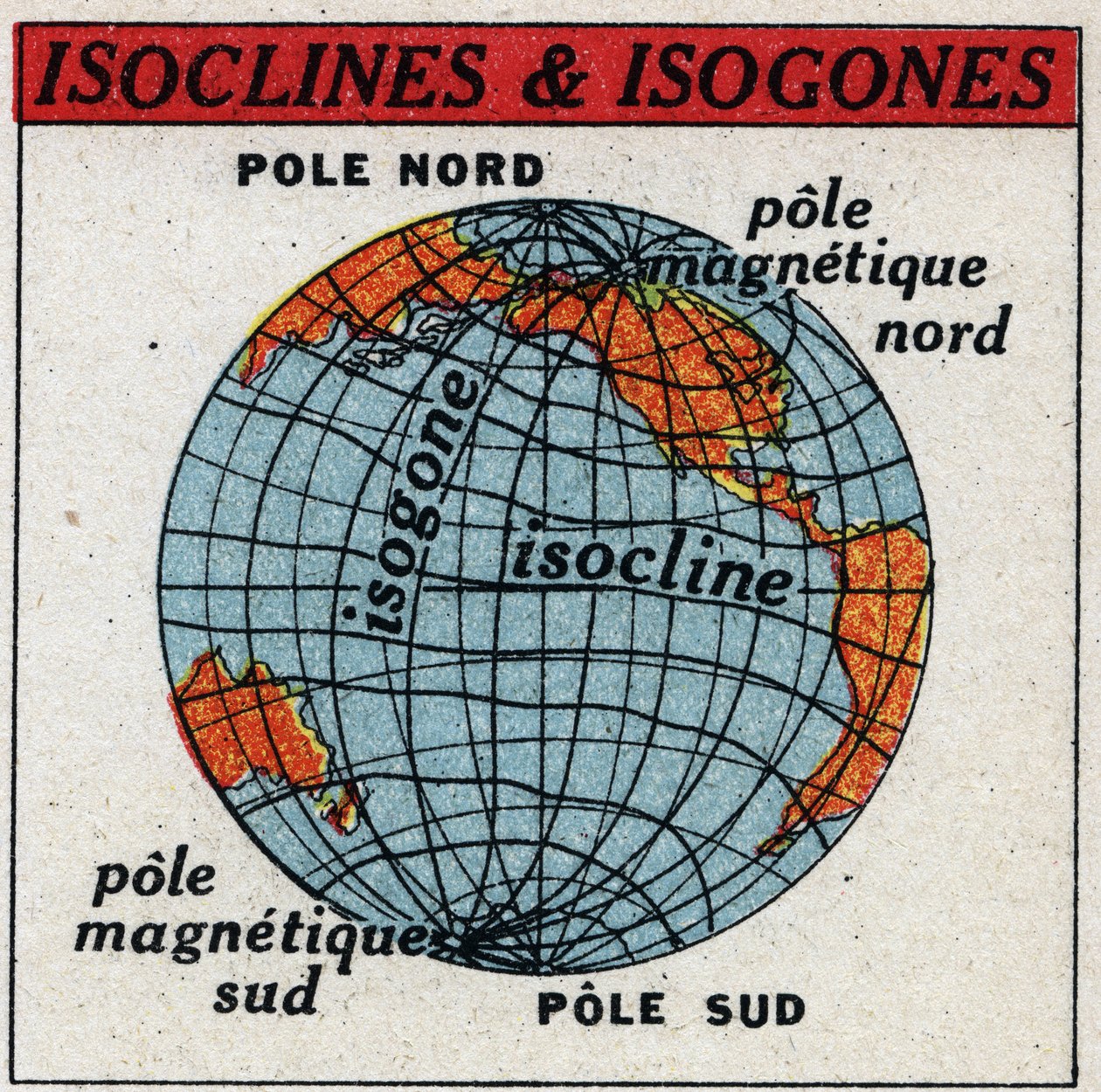 Magnétisme terrestre : carte magnétique montrant les isoclines et les isogones. Illustration anonyme de 1925. Collection privée. - Anonymous Anonymous