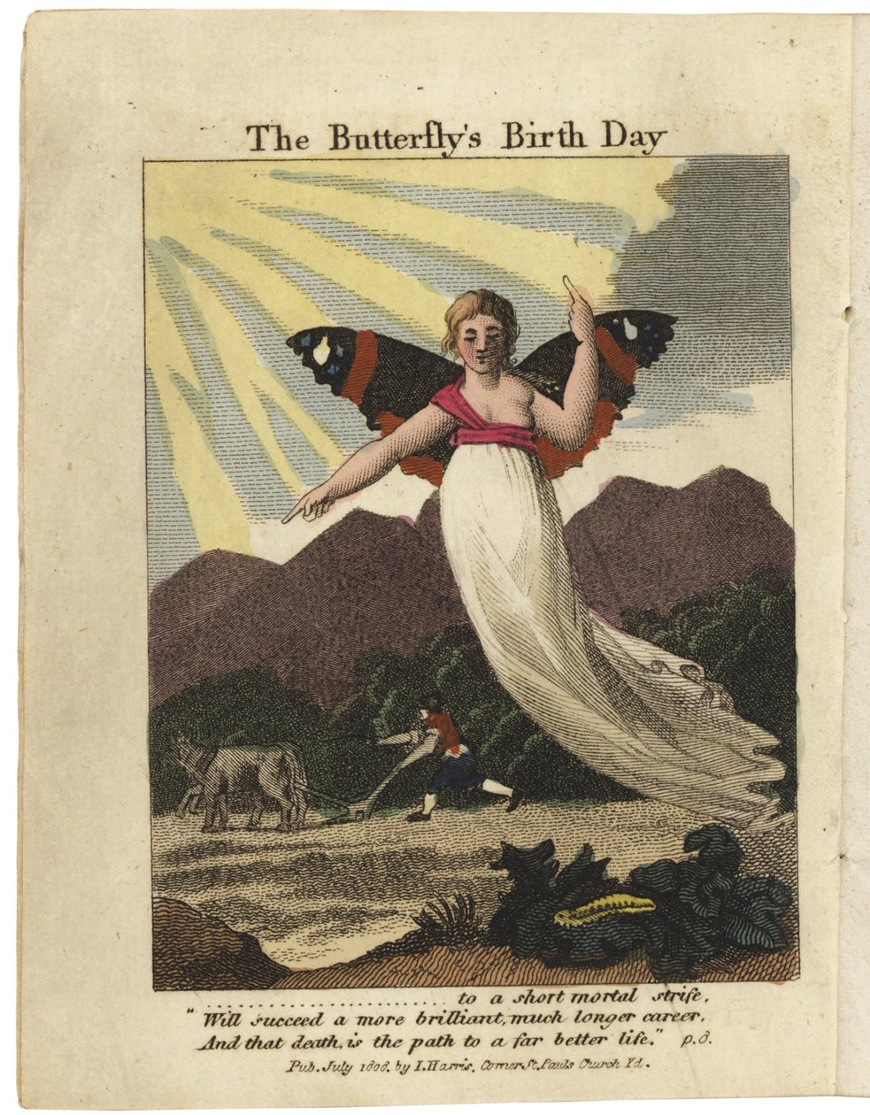 Page de titre de The Butterfly