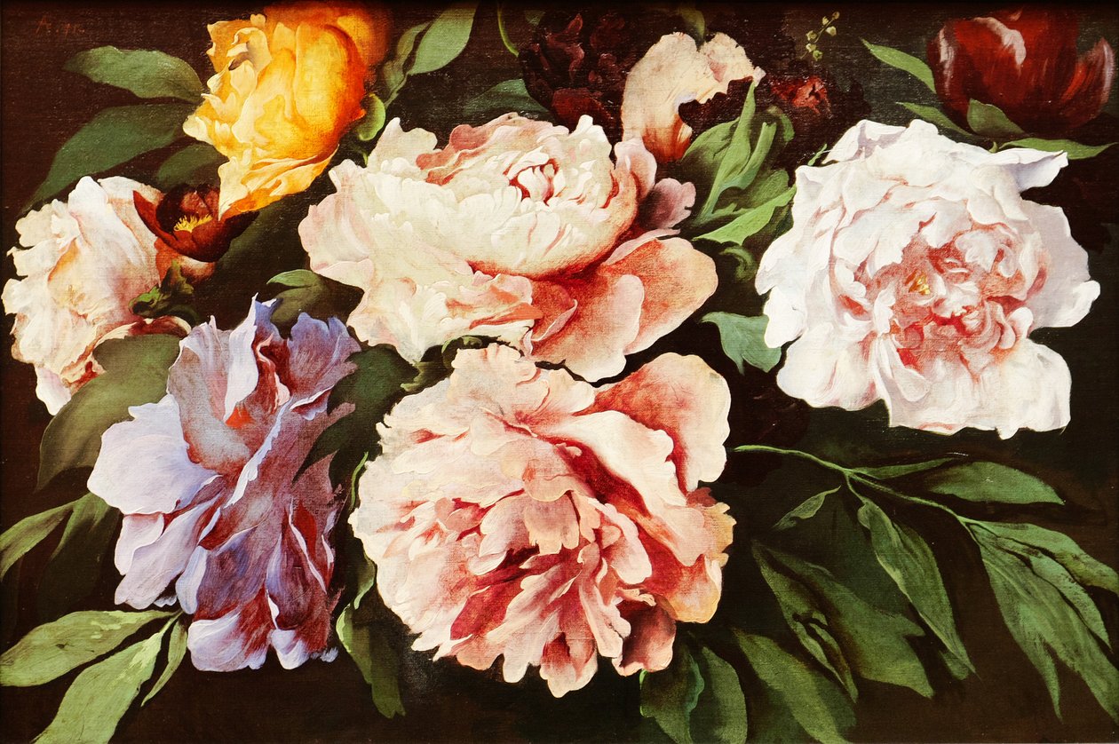 Pivoines - Anselm Feuerbach