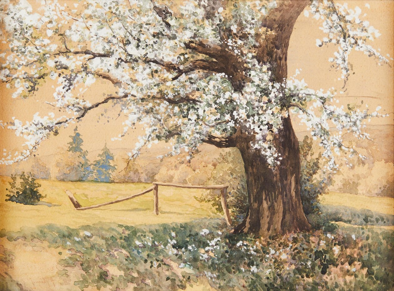 Antal Neogrády Arbre en fleurs - Antal Neogrady