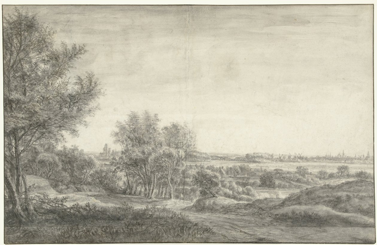 Vue des dunes sur Haarlem avec les ruines de la Maison de Kleef - Anthonie Waterloo