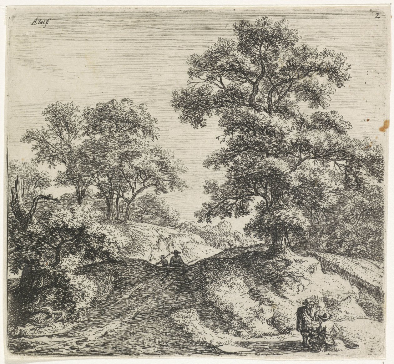 Grand chêne à côté d
