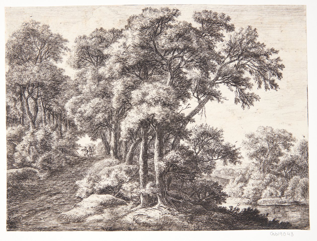 Chemin forestier au bord d
