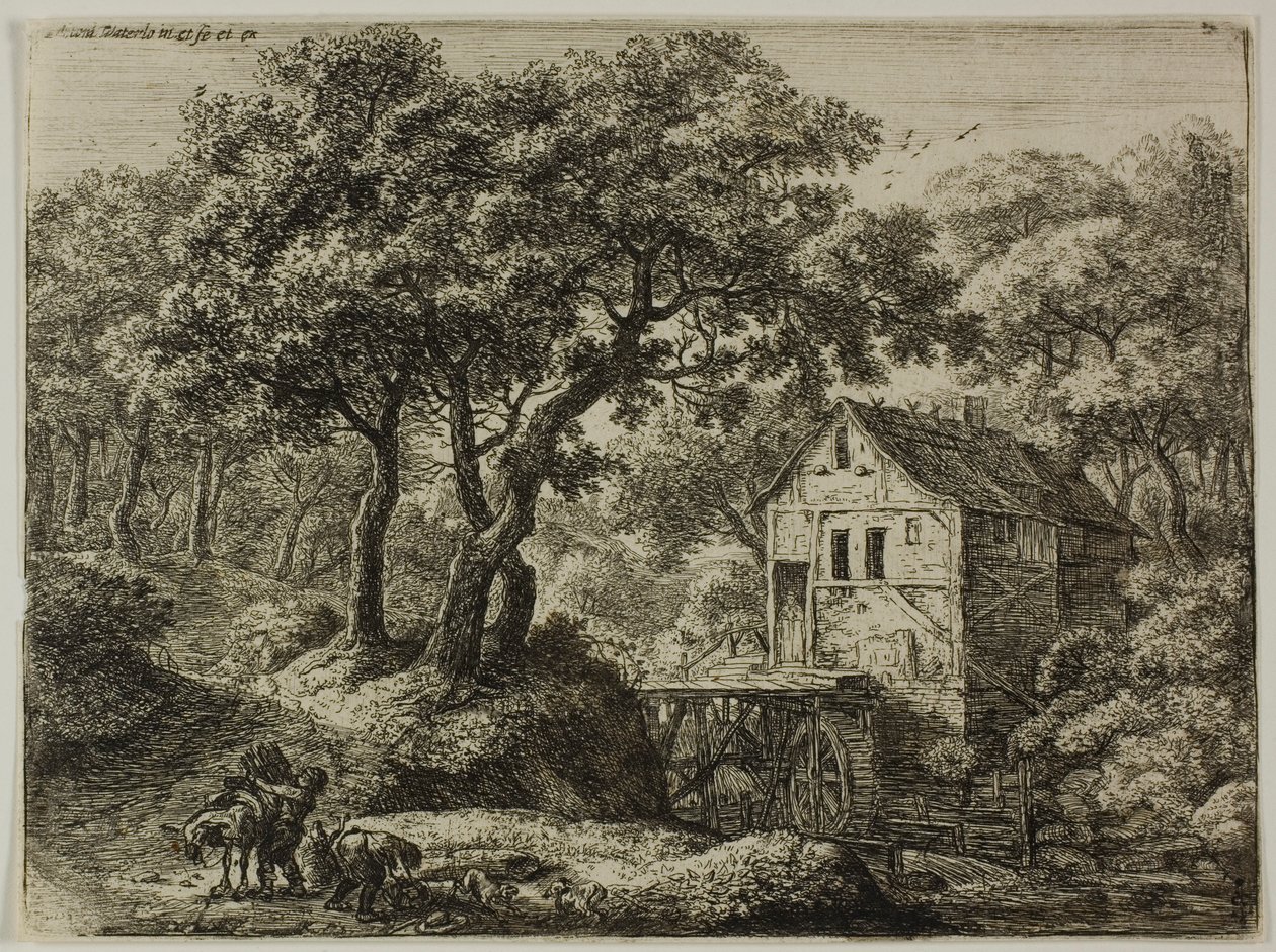 Le moulin dans le bois - Anthonie Waterloo