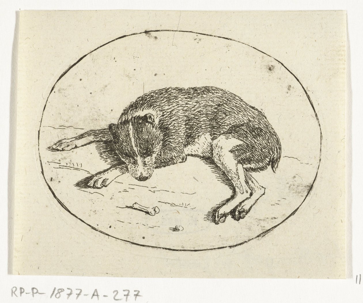 Chien couché - Anthonie van den Bos
