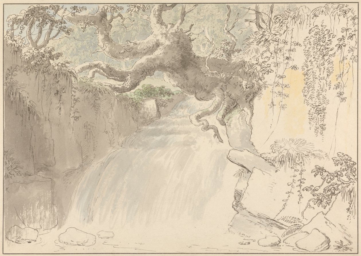 Cascade et Tronc d