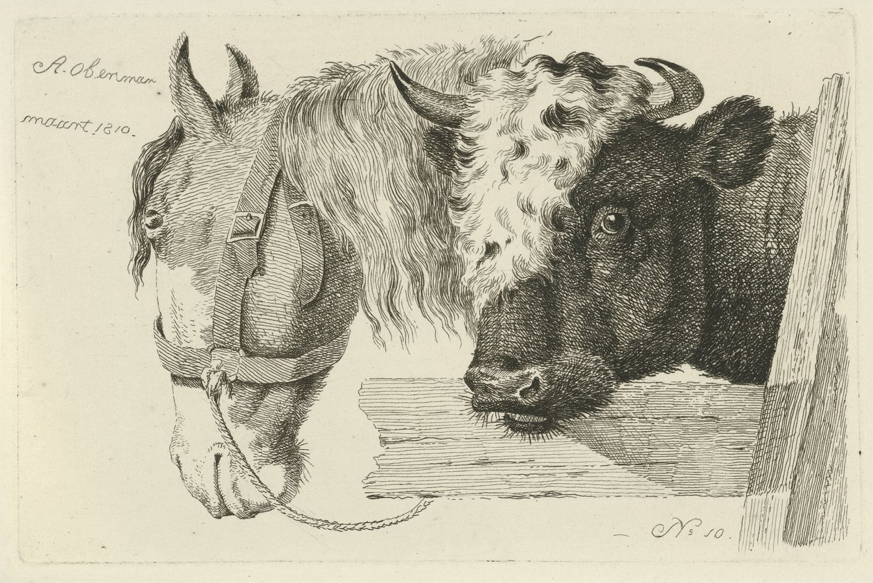 Tête de cheval et tête de taureau - Anthony Oberman