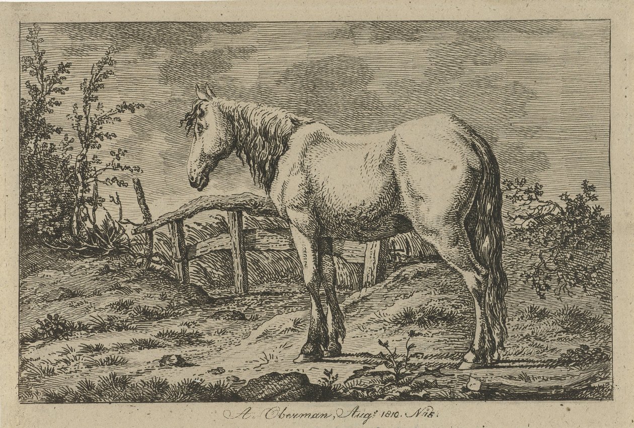 Cheval debout - Anthony Oberman