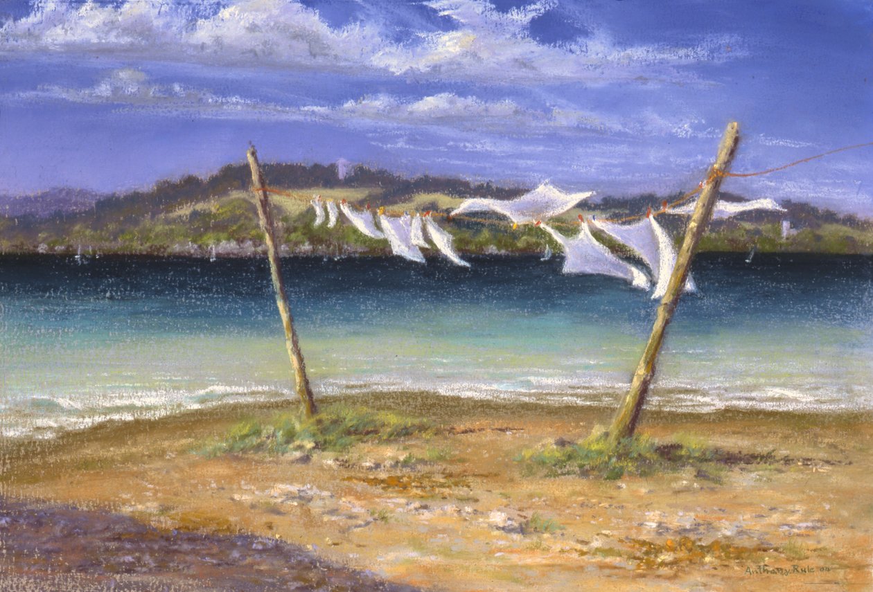 Séchage des blancs - Anthony Rule