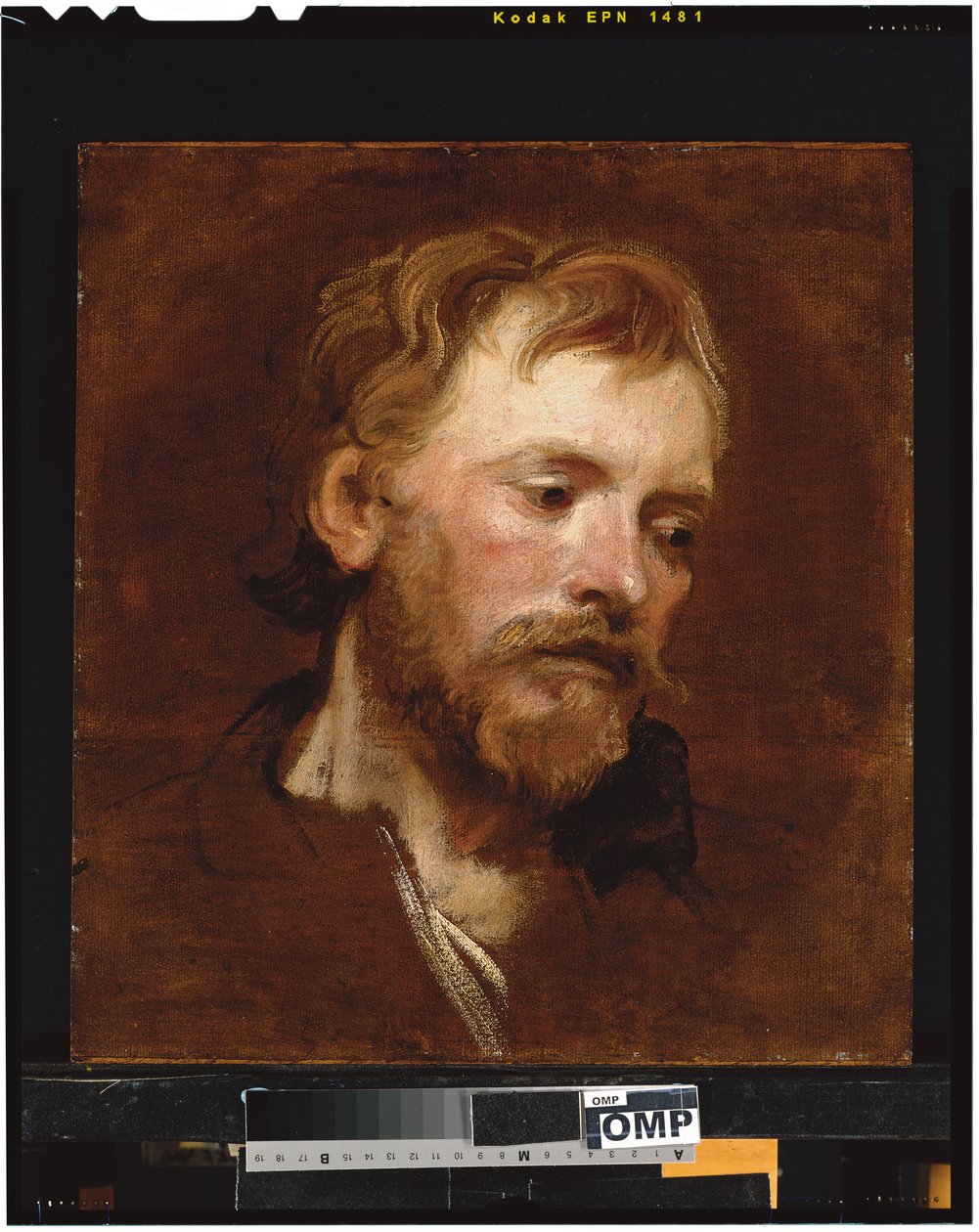 Un homme barbu, une étude - Anthony van Dyck