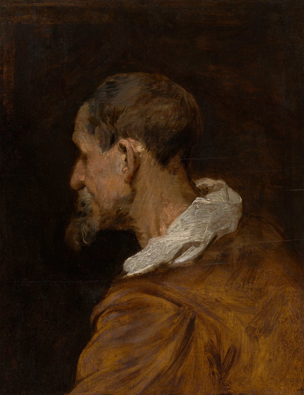 Étude sur la tête - Anthony van Dyck