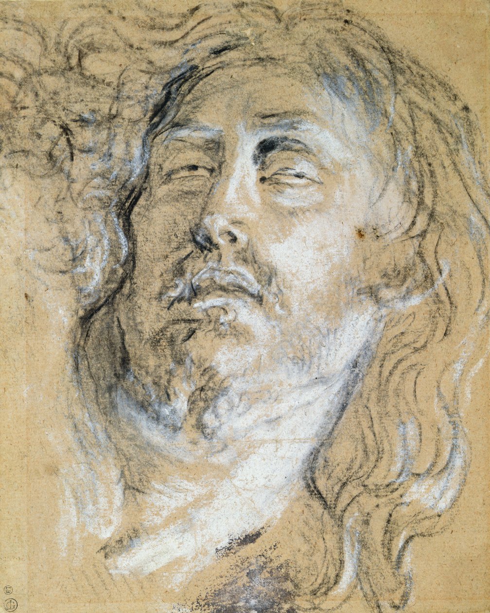 Tête du Christ mort - Anthony van Dyck