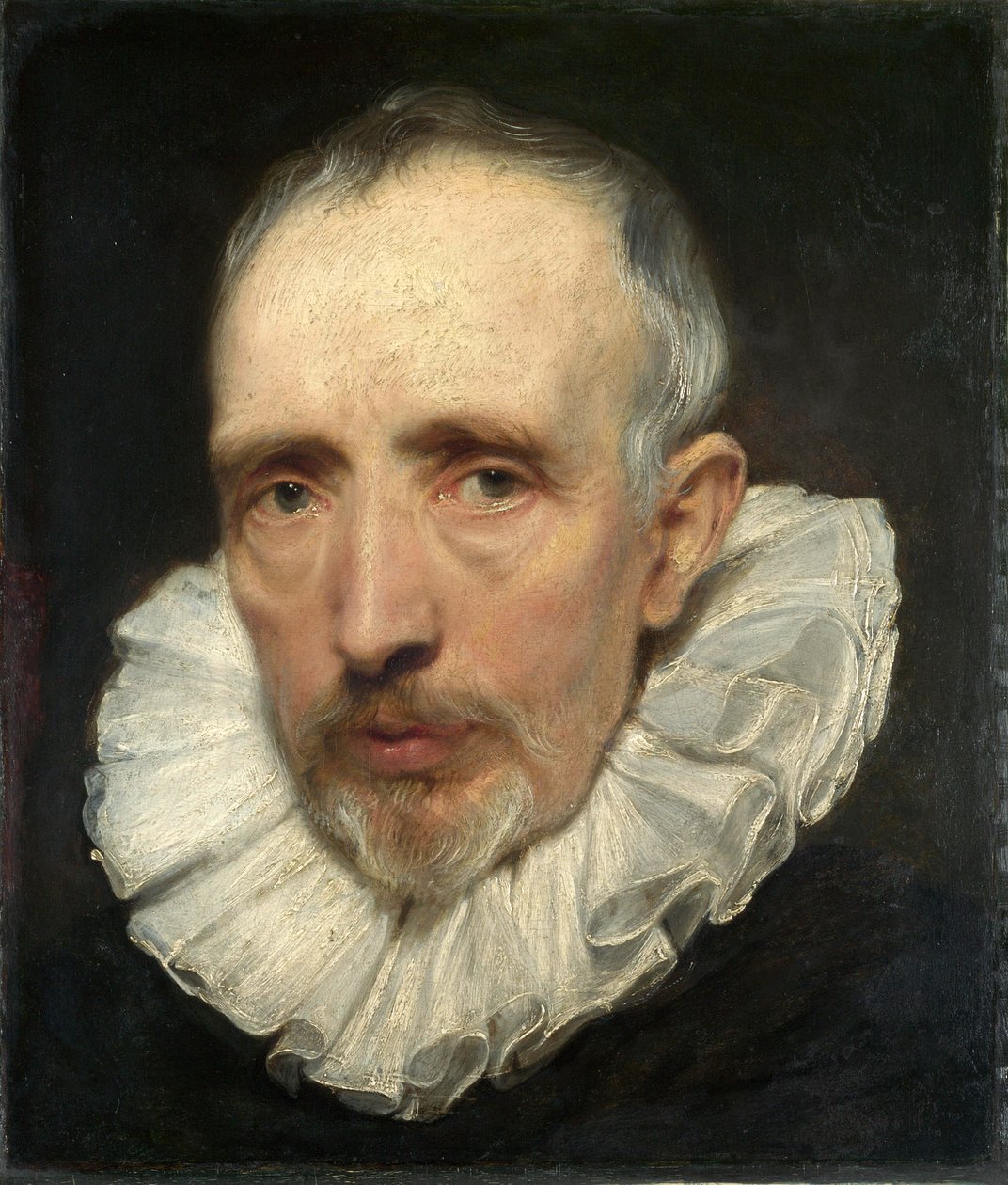 Portrait de Cornelis van der Geest - Anthony van Dyck