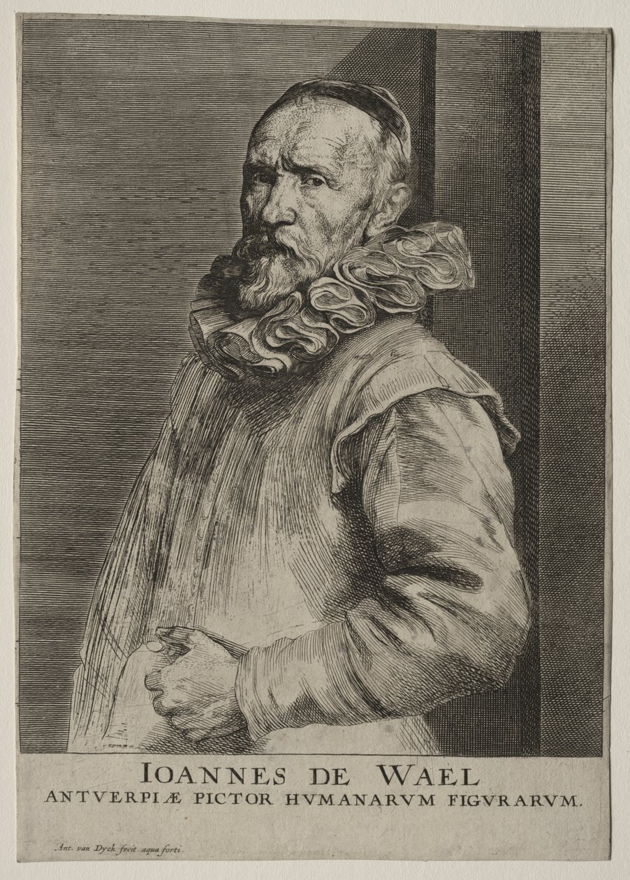 Portrait de Jan de Wael Nevers - Anthony van Dyck