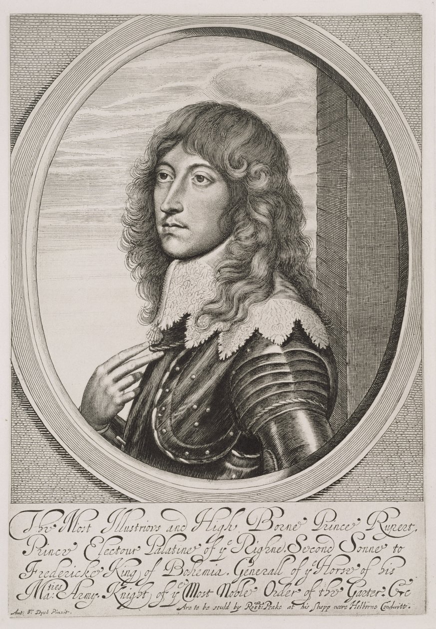 Portrait du prince Rupert (1619-82) comte palatin du Rhin et duc de Bavière, gravé par William Faithorne (1616-91) - Anthony van Dyck
