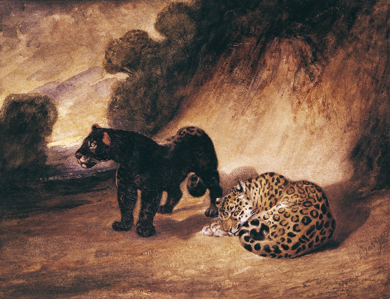 Deux jaguars du Pérou - Antoine Louis Barye