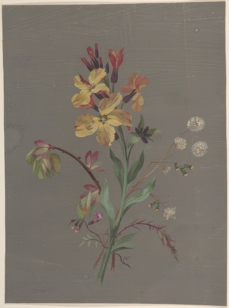 Motif floral - Antoine Berjon