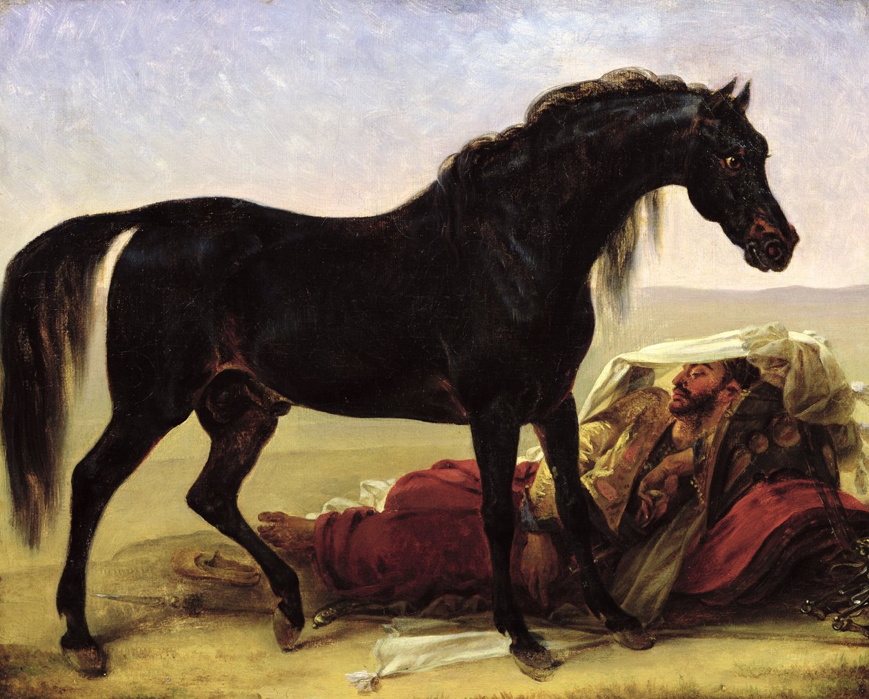 Un cheval arabe - Antoine Jean Gros