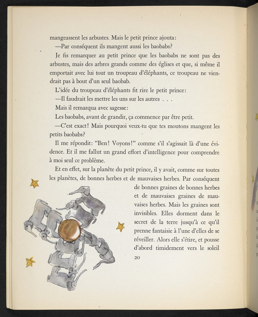 Éléphants, illustration de 