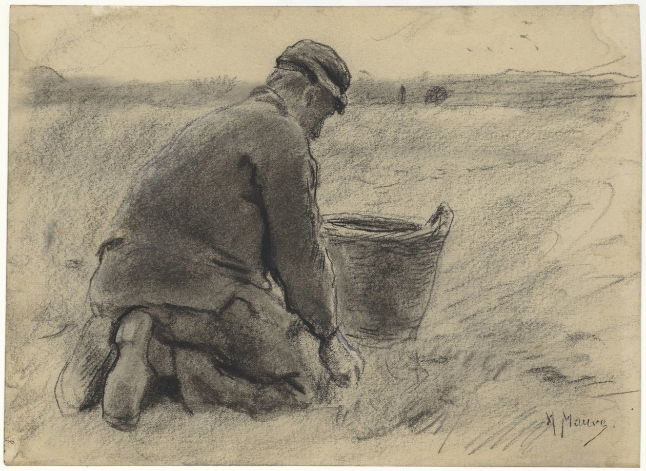 Ramasseur de pommes de terre - Anton Mauve