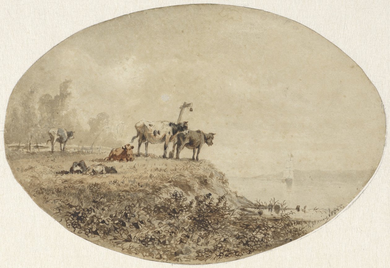 Vaches près de l
