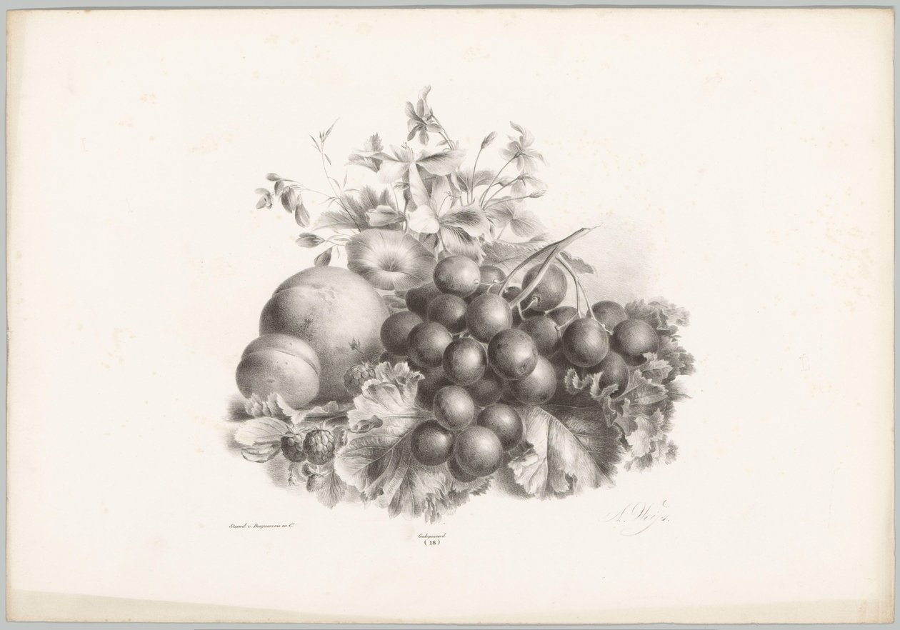 Fleurs, pêche, nectarine, raisins et mûres - Anton Weiss
