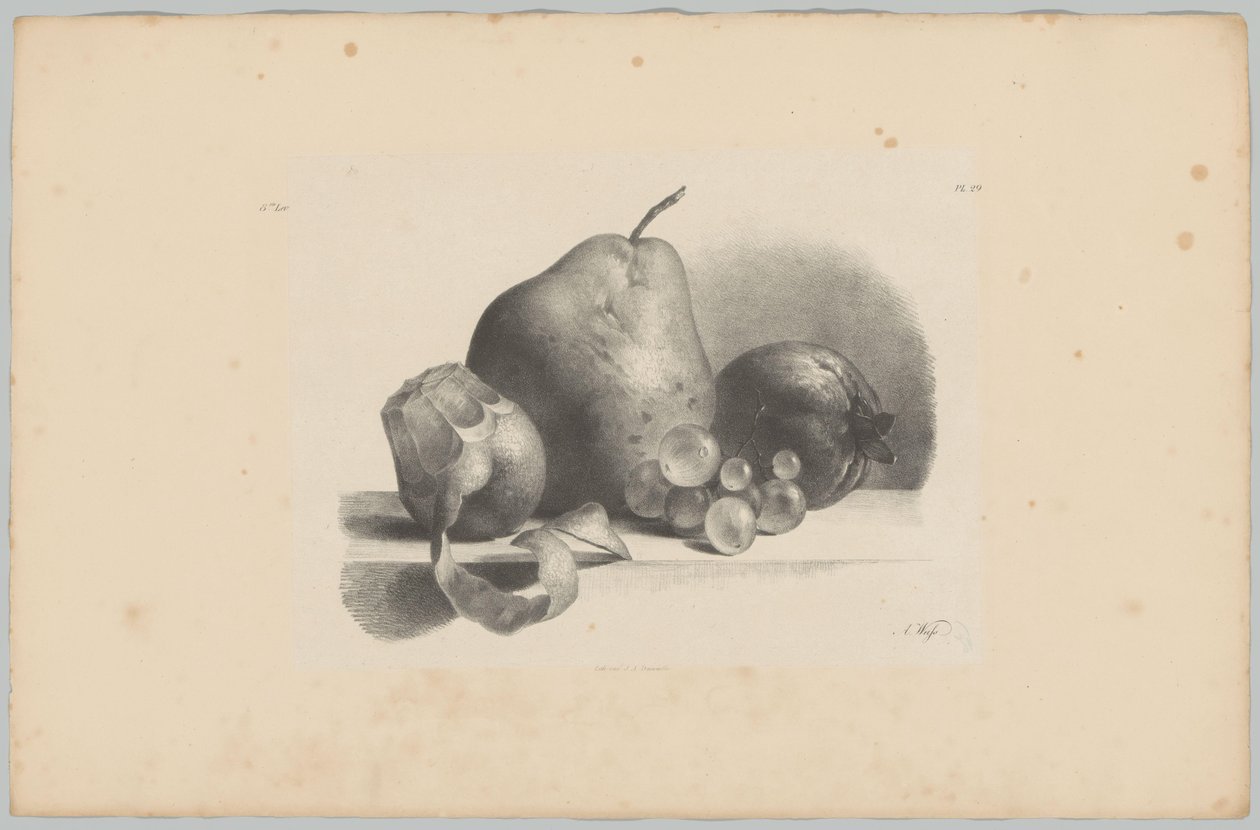 Poire, pêche, raisins et citron pelé - Anton Weiss