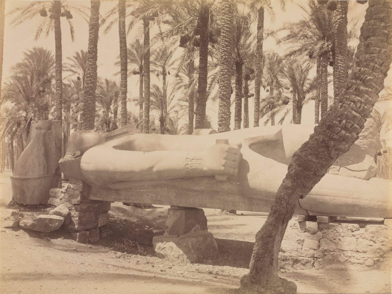 Statue de Ramsès à Saqqara - Antonio Beato