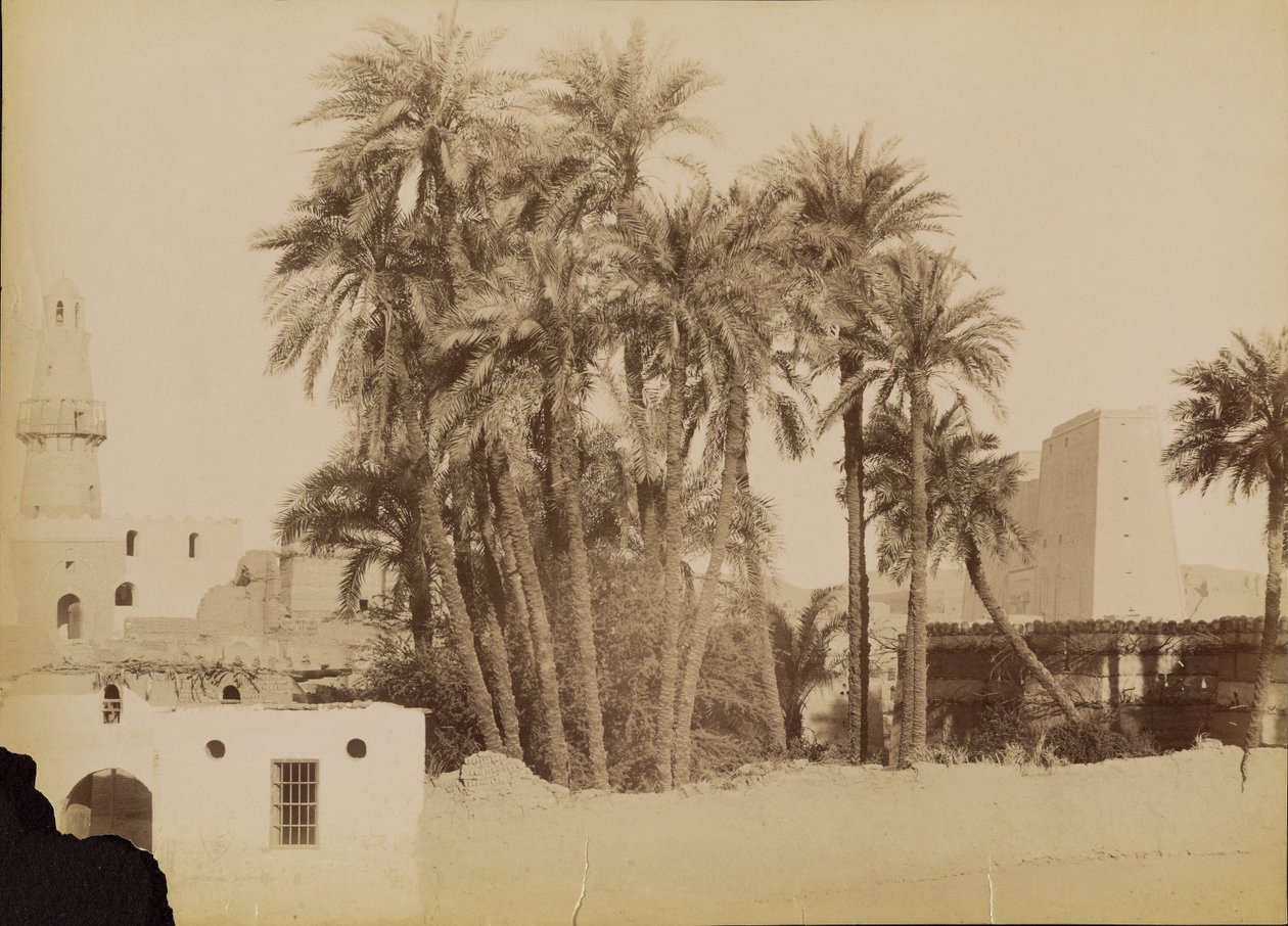 [Village et Pylone d
