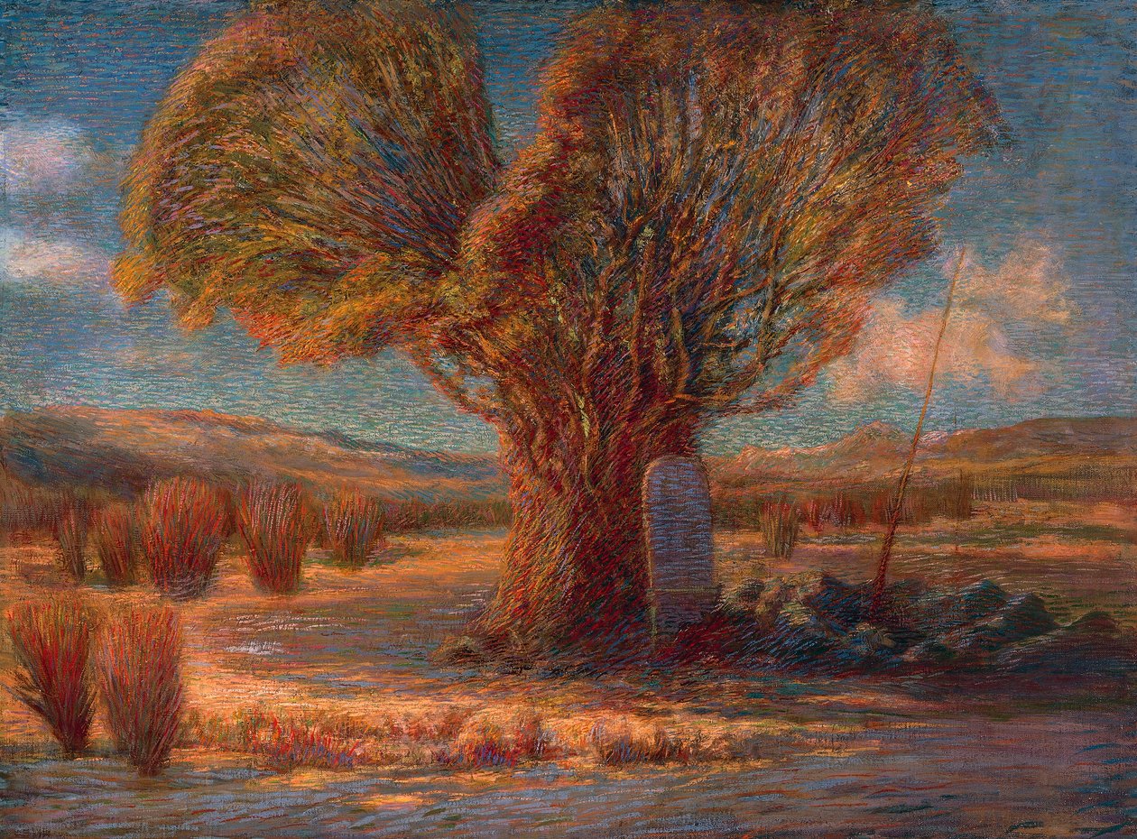 Caprera (Le pin) - Antonio Pasinetti