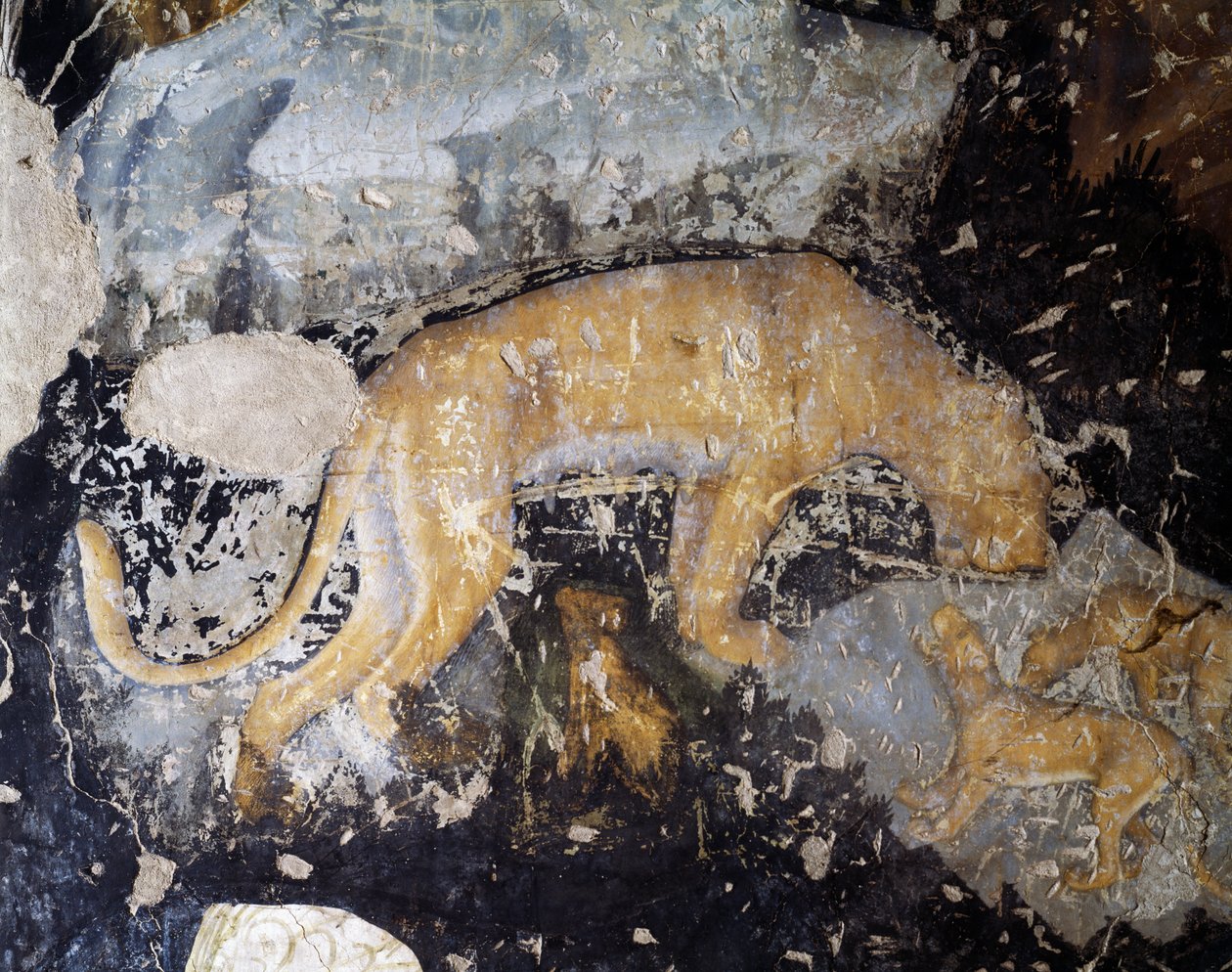 Chien (détail) - Antonio Pisanello