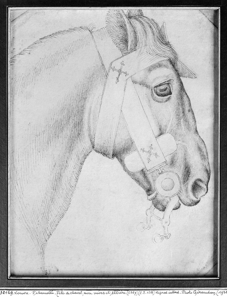 Tête de cheval, de l